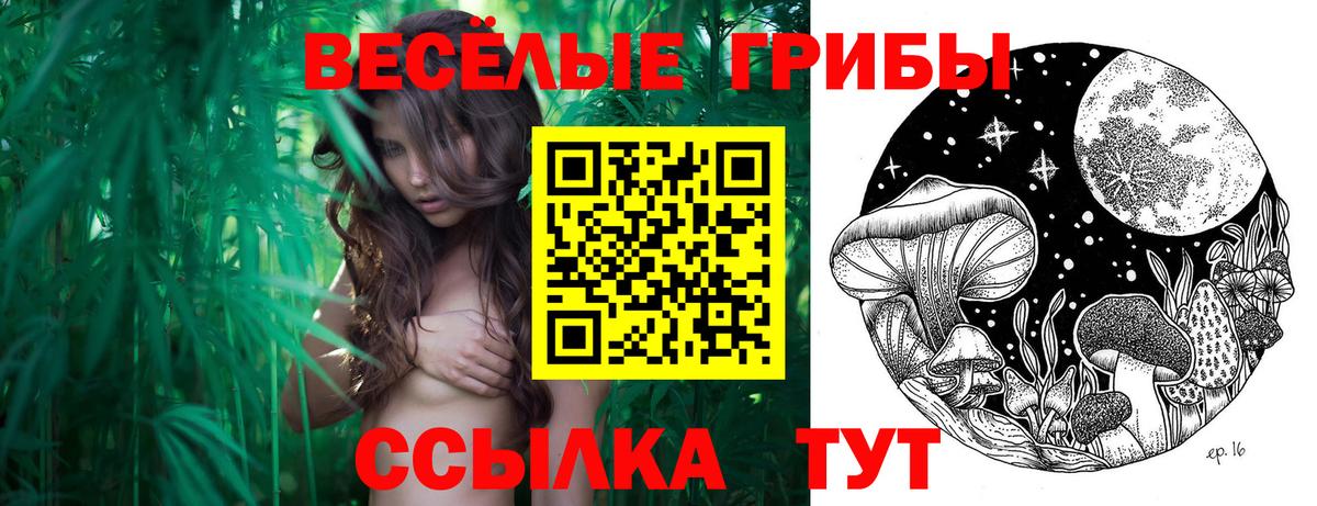 Псилоцибиновые грибы Psilocybine cubensis Маркс
