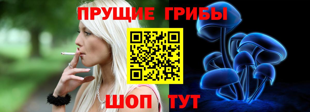 Псилоцибиновые грибы Psilocybe  Вход с VPN  Маркс 